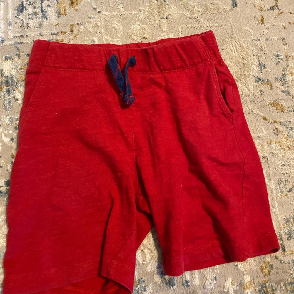 Boys 4T spotted zebra shorts